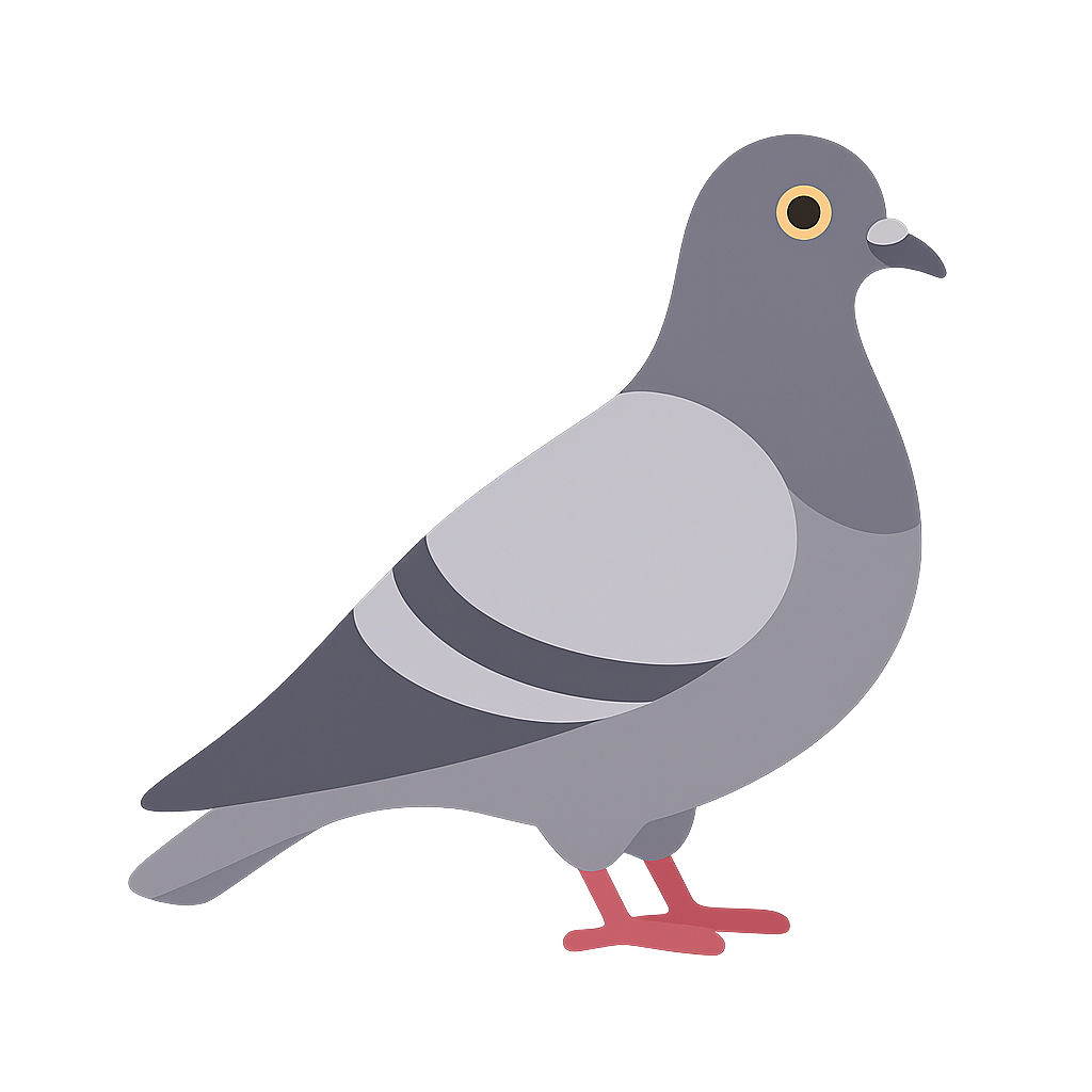 PIGEON